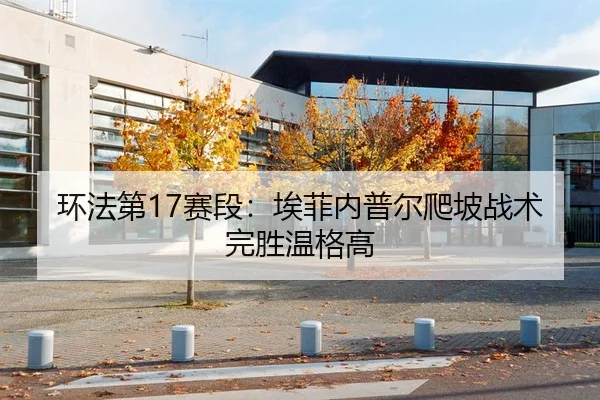 环法第17赛段：埃菲内普尔爬坡战术完胜温格高