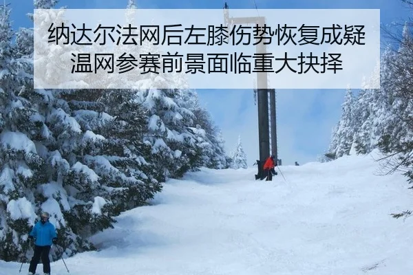 na-da-er-fa-wang-hou-zuo-xi-shang-shi-hui-fu-cheng-yi-wen-wang-can-sai-qian-jing-mian-lin-zhong-da-jue-ze-2-855.jpg